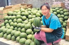 今日吃瓜网从“开盲盒”到“精准验”：“验瓜师”火了你“吃瓜”了吗？